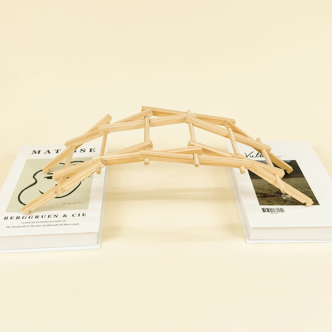 CreateKit Da Vinci's Bridge DIY Kit